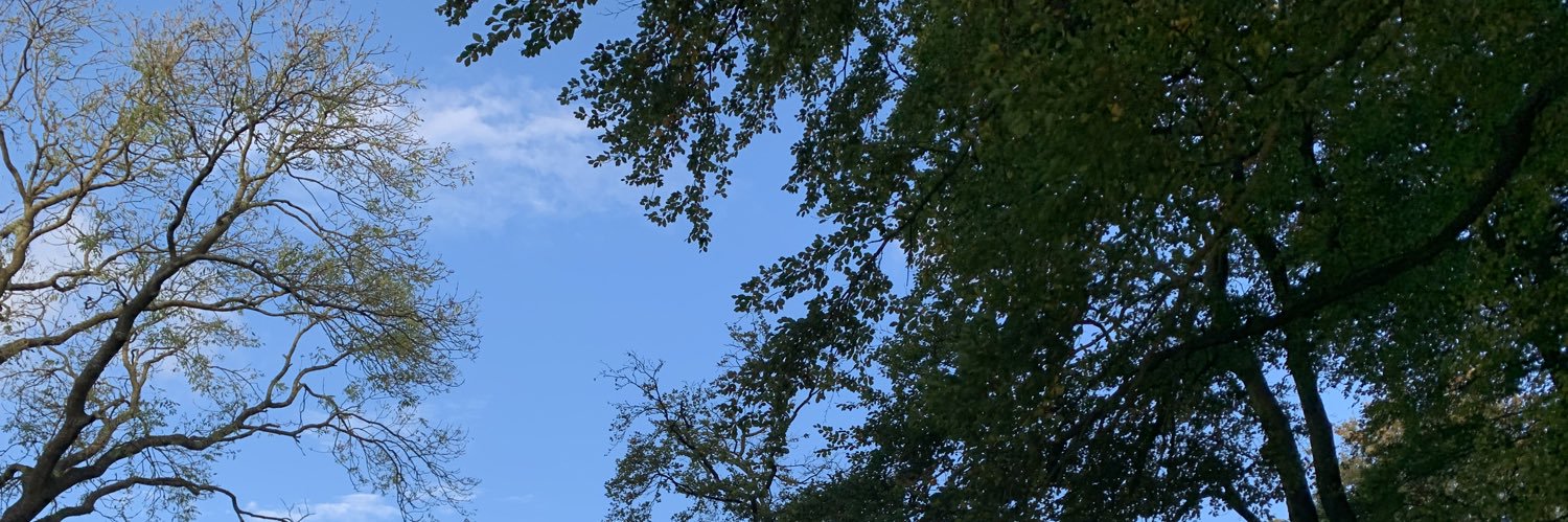 Rebecca Johnson banner