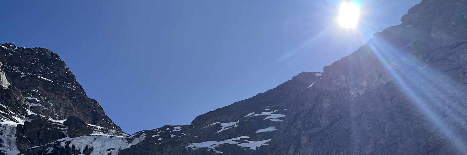 Daniel 🌿🌳 banner