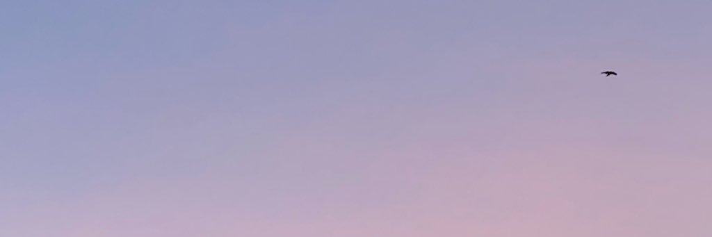 DDWHR's profile banner image