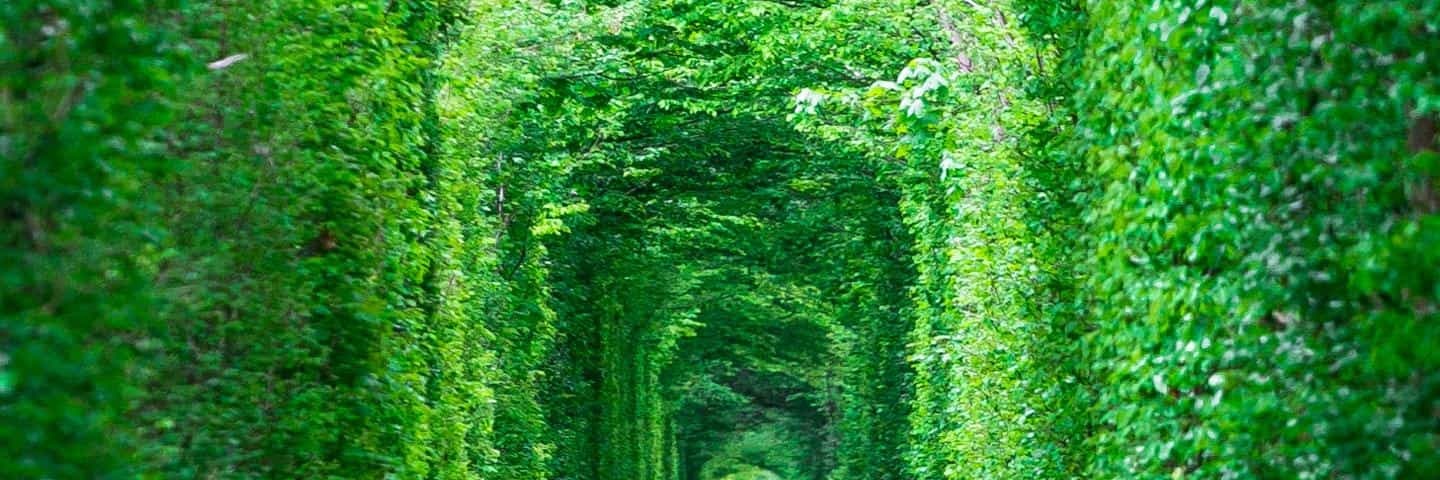 🇱🇧🕊️🇮🇱 مغرد111 📟 banner