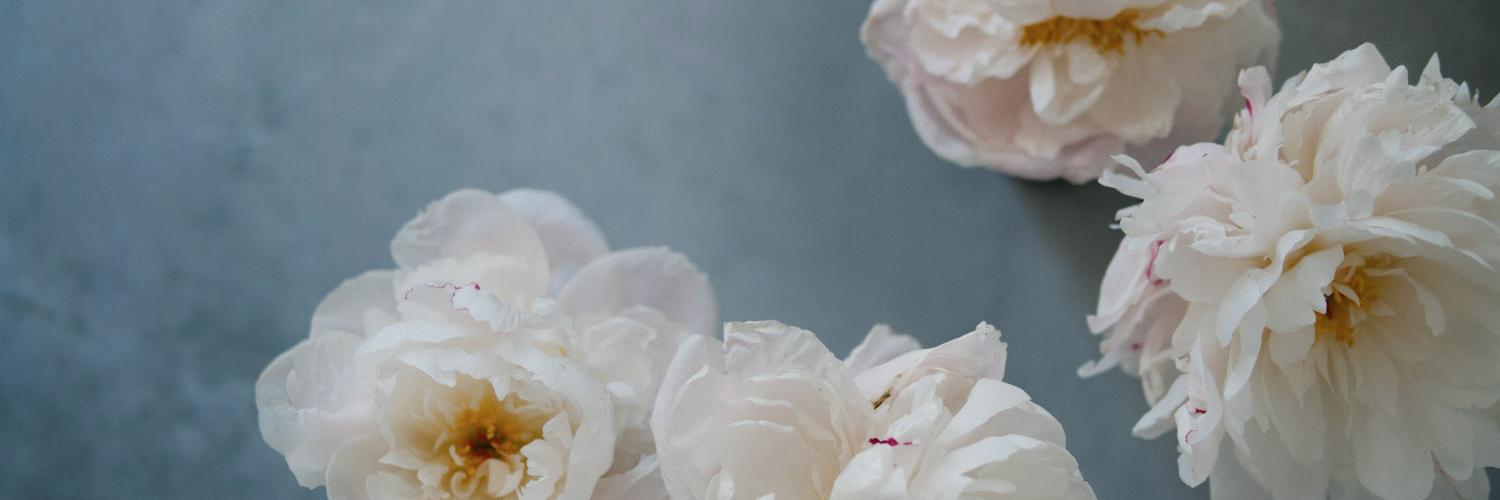 jasminwong's profile banner image
