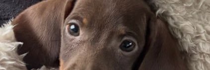 Ezku24's profile banner image