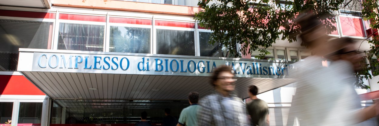 Department of Biology – University of Padova's banner
