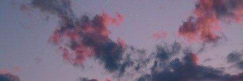 izz banner