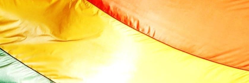 CutieCatAlexis's profile banner image