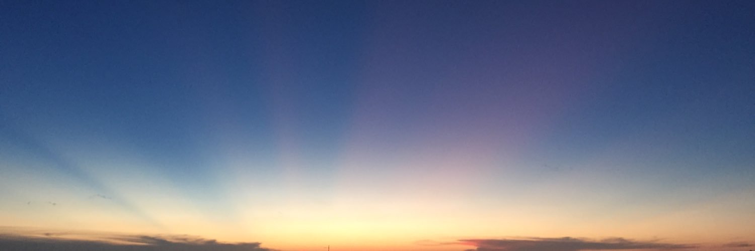 Cassi Abranches banner