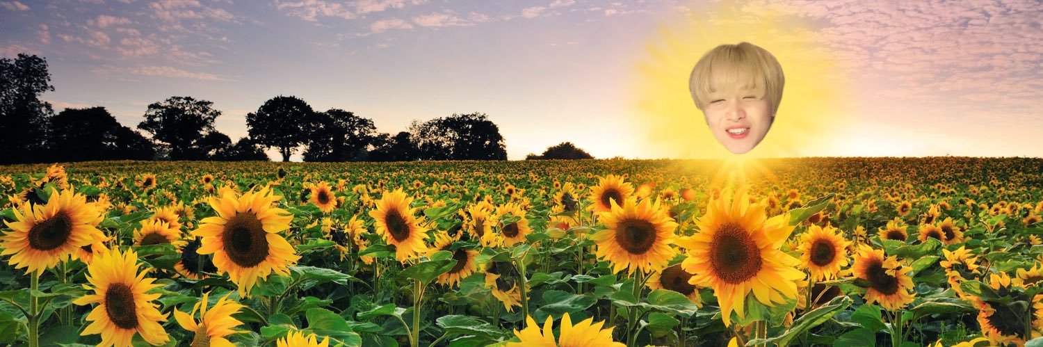 อมซ 💛 banner
