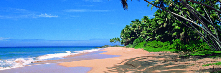 TravelousLife's profile banner image