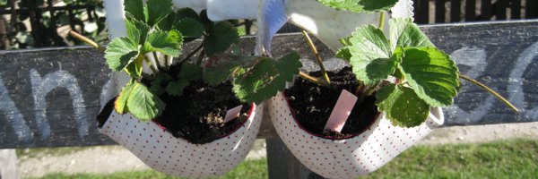 pottyplotters Profile Banner