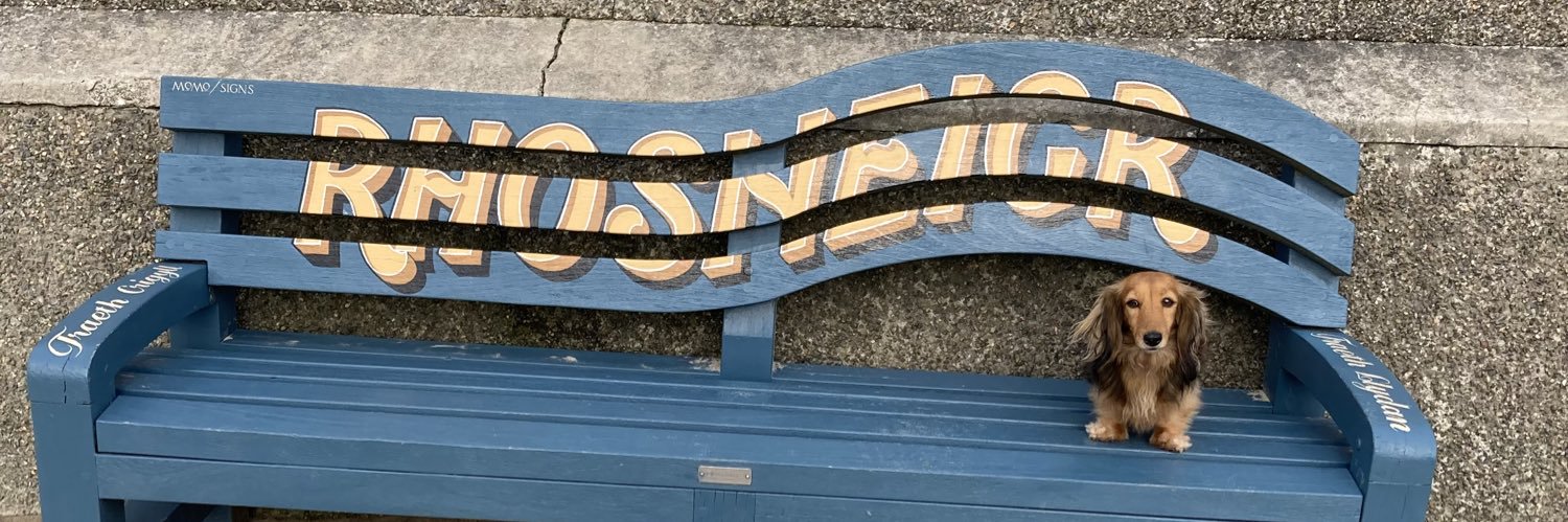 MinnietheMini banner