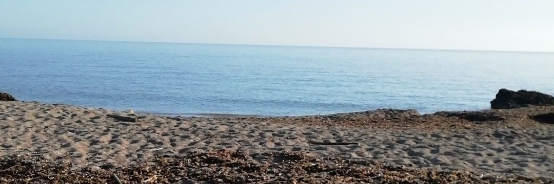 meeriimeeer's profile banner image