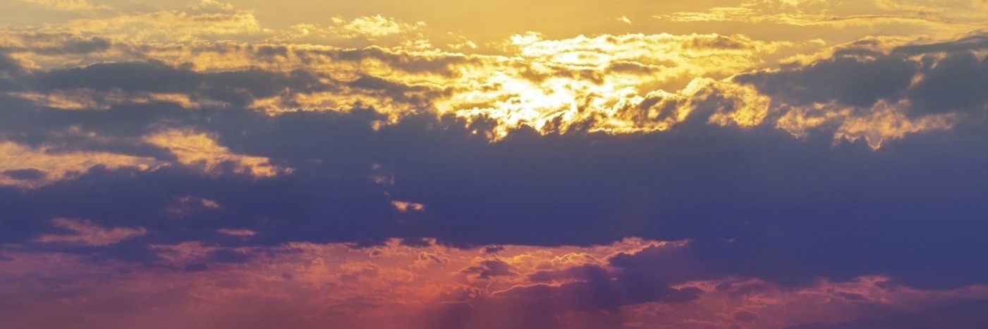 aldamarcam's profile banner image