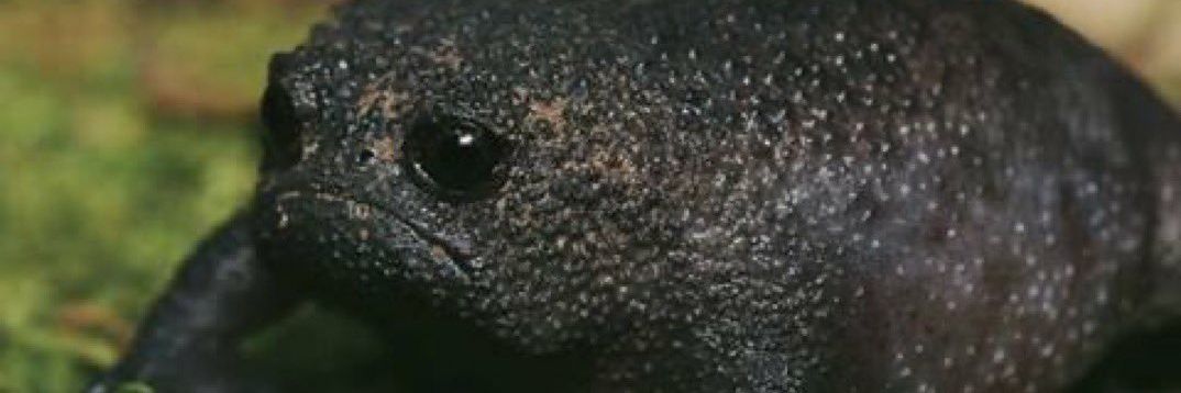 ibsqween's profile banner image