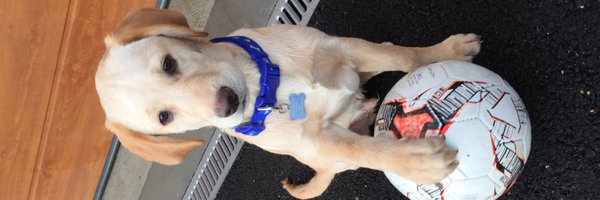 DanielDBThomson Profile Banner