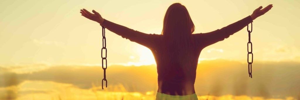 Krzysztof Jarzyna ze Szczecina 🦁 banner