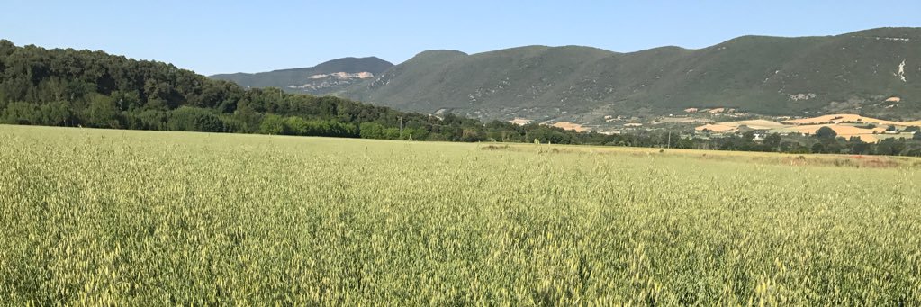 IgnacioAramen's profile banner image