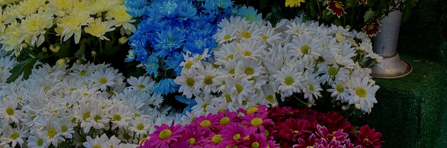 sahsialanim's profile banner image