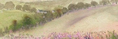 staycsseni's profile banner image