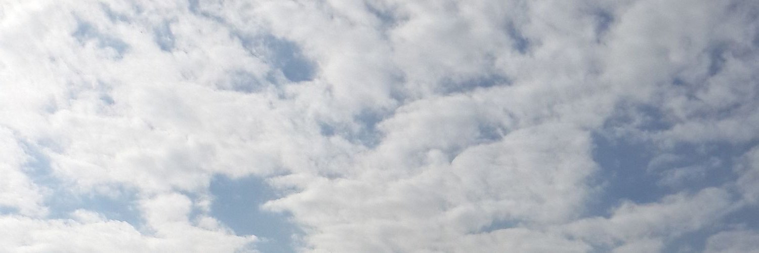 zeynebdogan's profile banner image