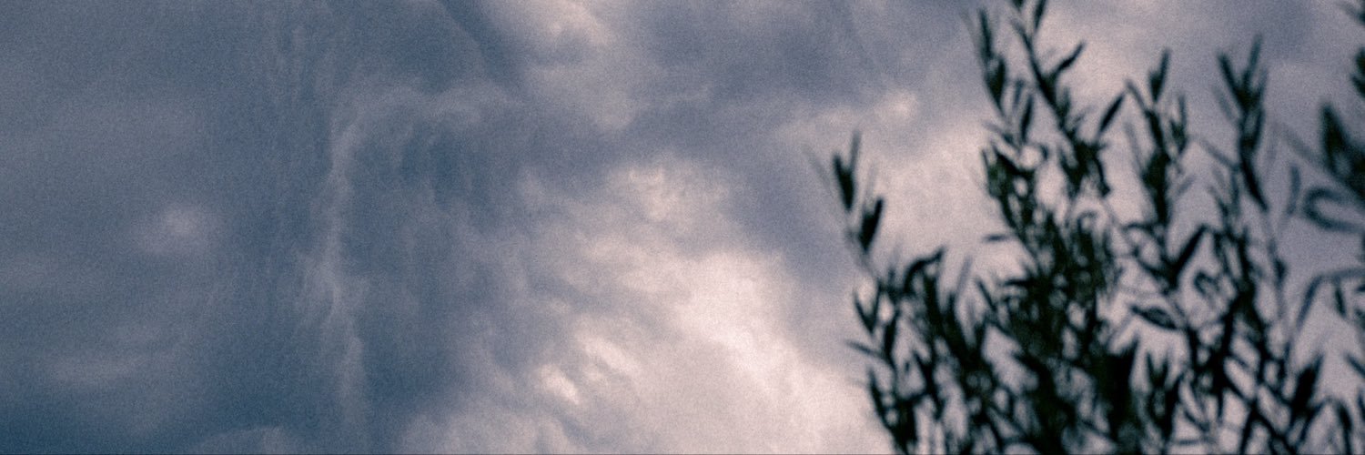 iwilleatthebugs's profile banner image