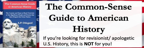 The Common-Sense Guide to American History banner