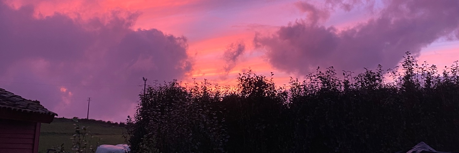 Andre_Mendonca1's profile banner image