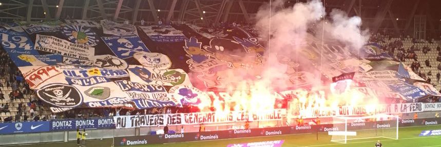 joris 🐬⚜️ banner