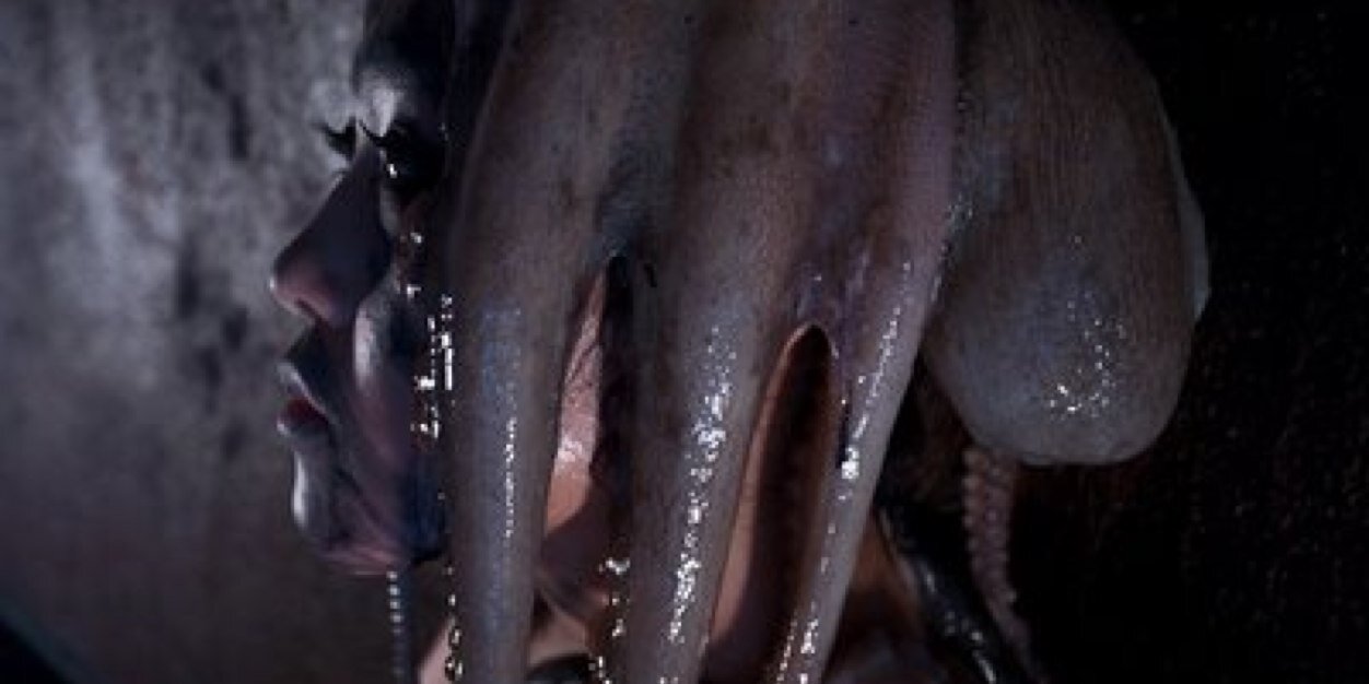 labeauf's profile banner image