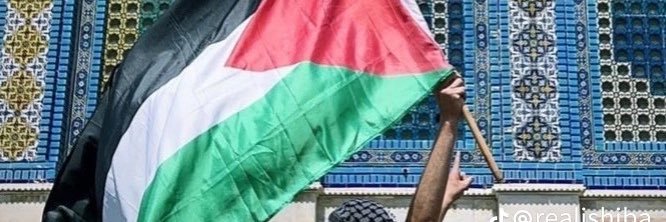 M.ElMogy🇵🇸 banner