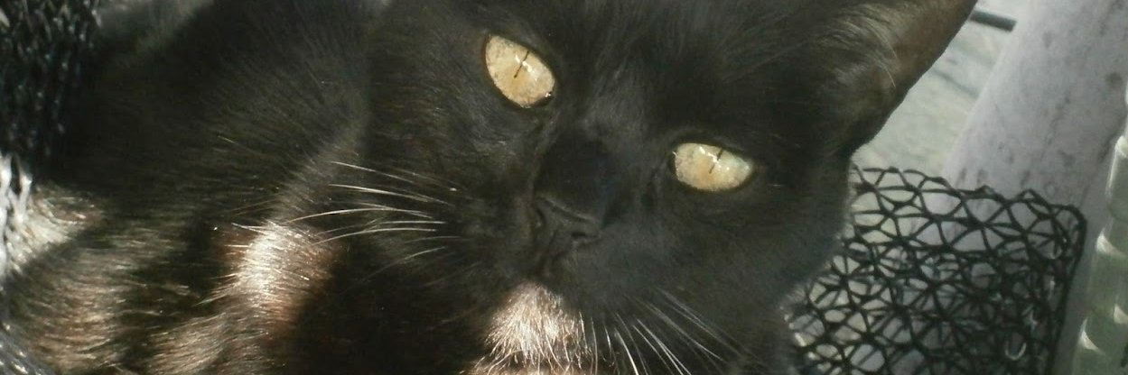 Aabbath's profile banner image