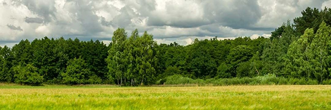 ArNHOD_'s profile banner image