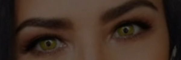 RoseBacellar Profile Banner