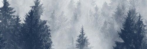 sassski_a's profile banner image