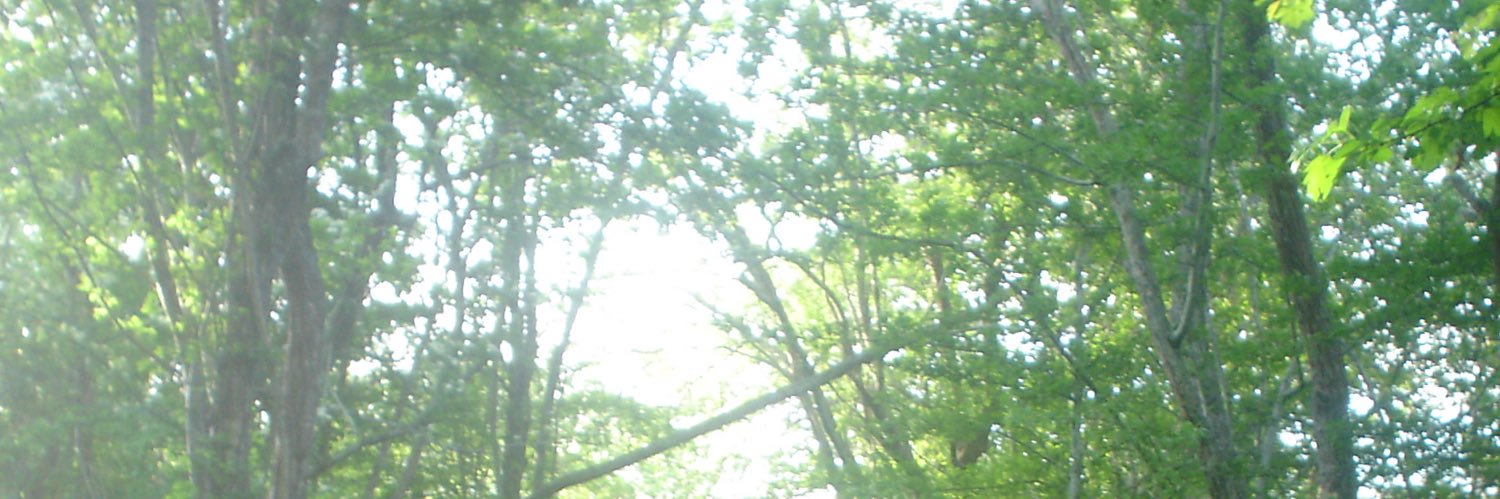 aidyn banner