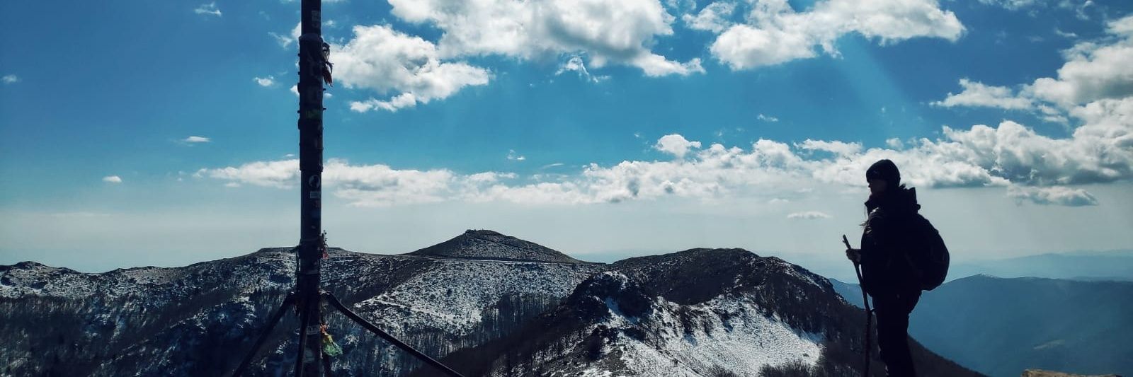 Lau__Est's profile banner image