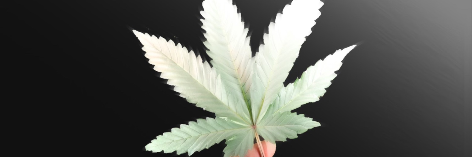 Native Black Cultivation™ banner