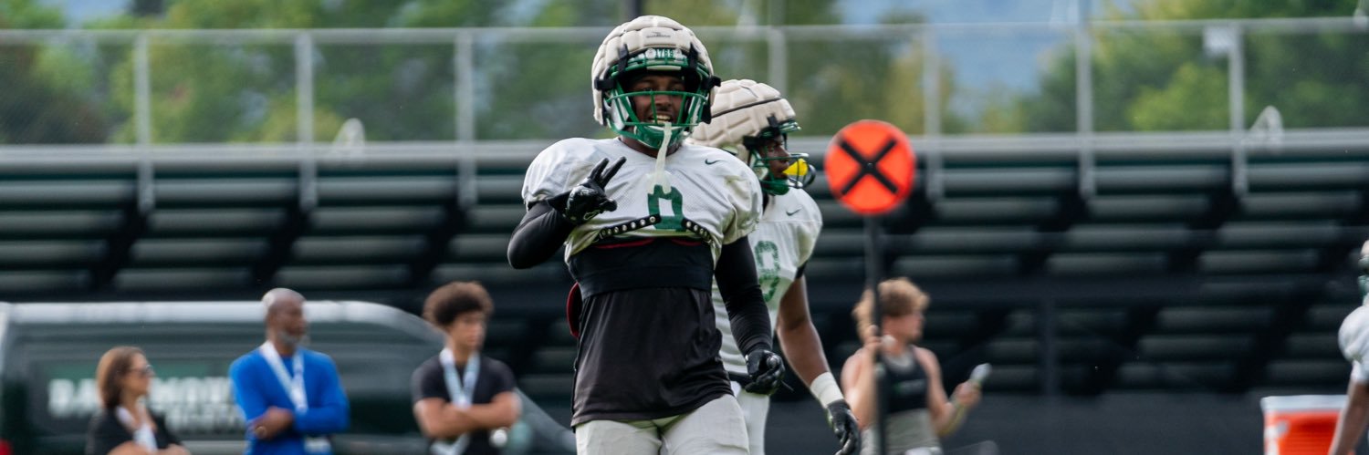 Sean Williams banner