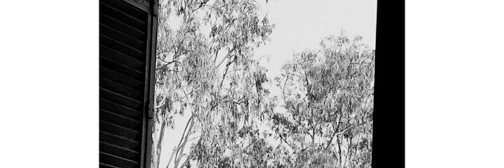 AstrideTape's profile banner image