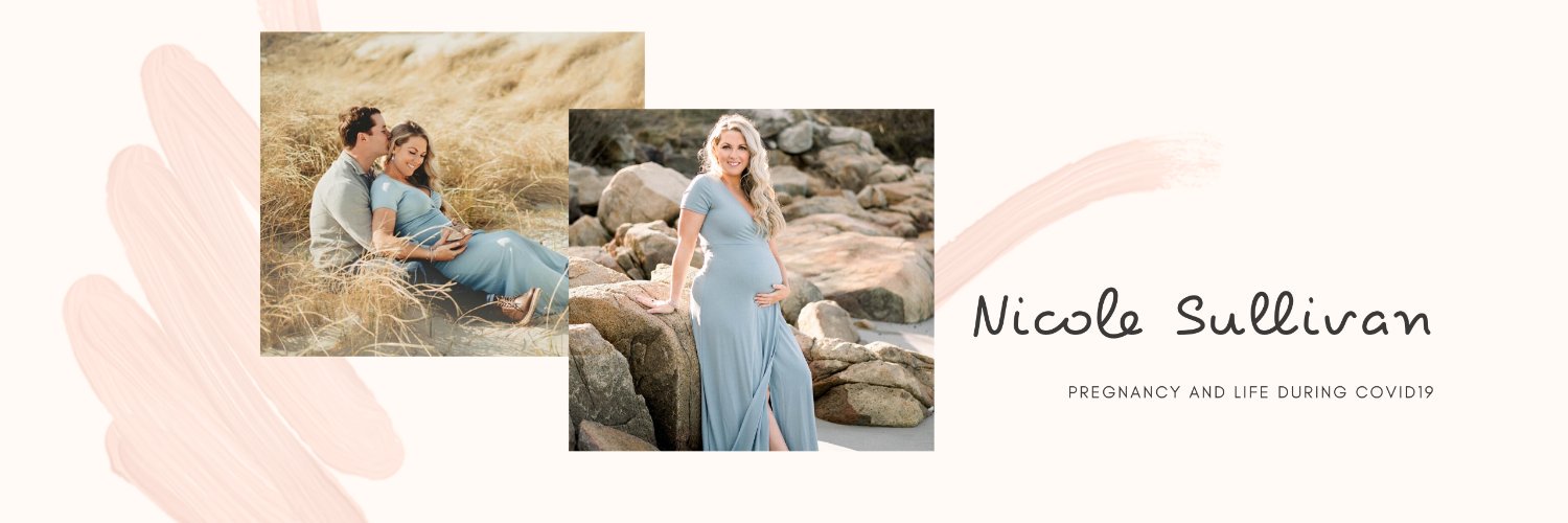 nikkisull6's profile banner image