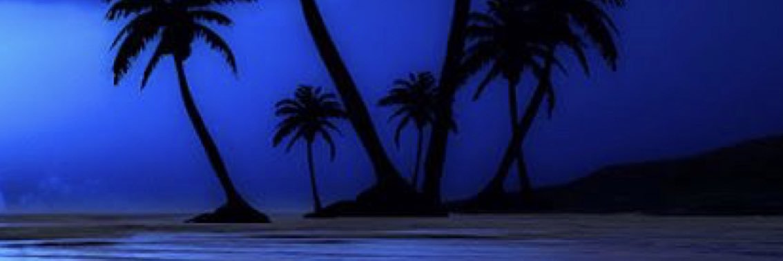 loricolina's profile banner image