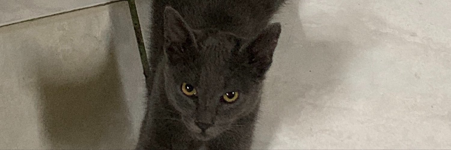 izzaanr's profile banner image