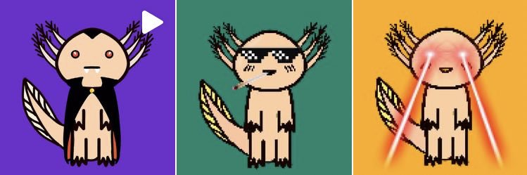 Fomo Fish gets Rekt banner