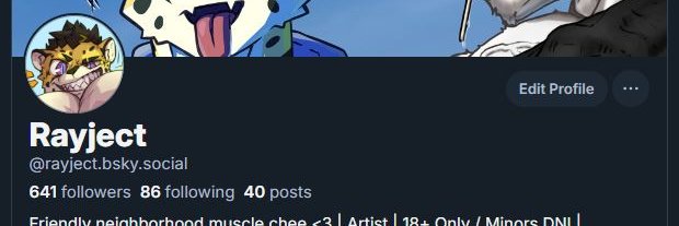 rayject.bsky.social banner