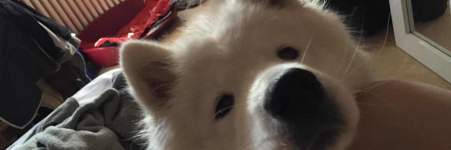 EVergniaud's profile banner image