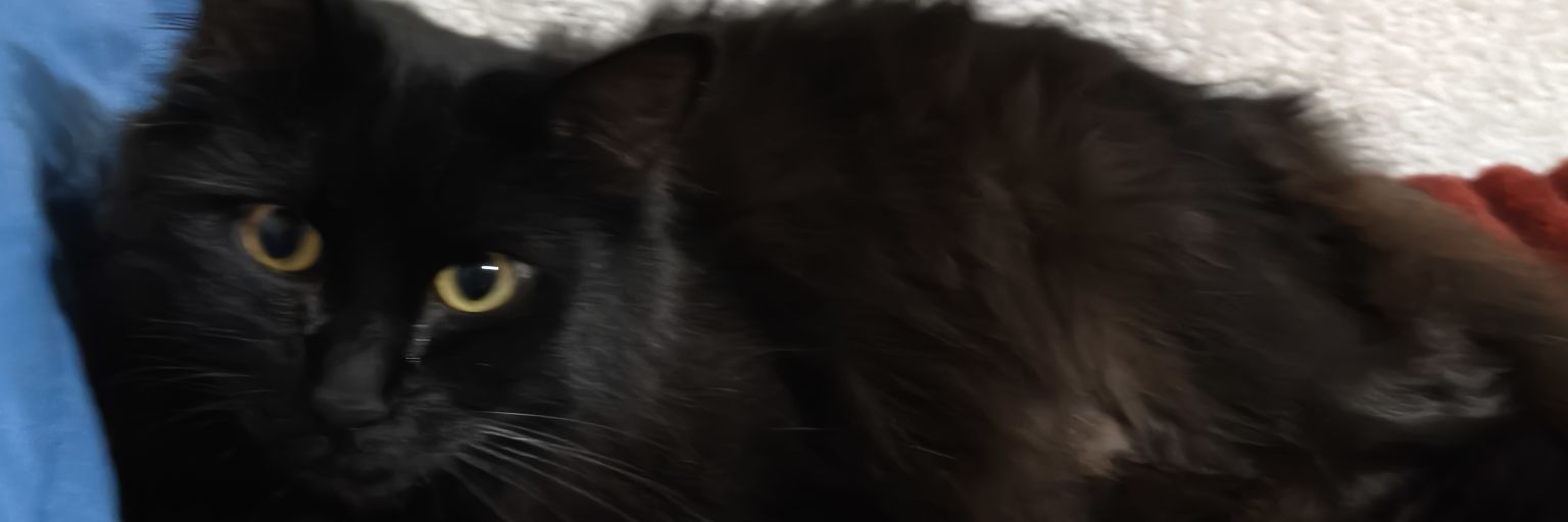 👸 LA.GENERALA INCOMODA🇲🇽🇻🇪 banner