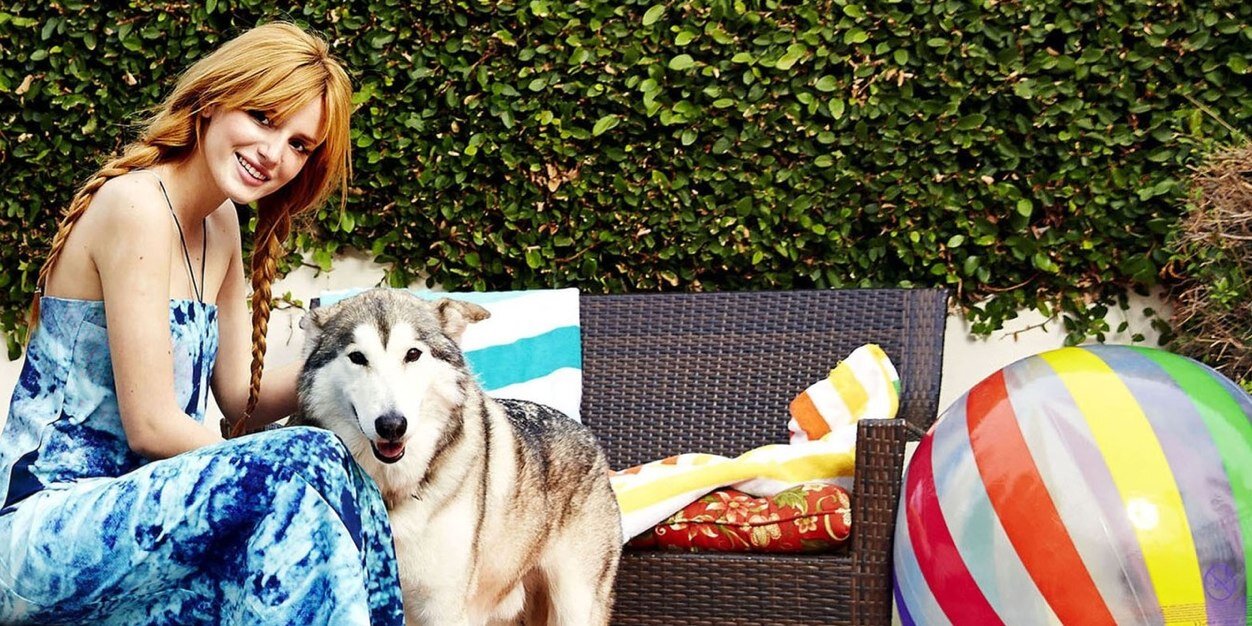 VoodooVThorne's profile banner image
