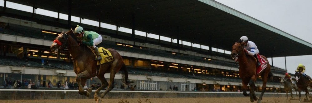 DMW Racing Stables banner