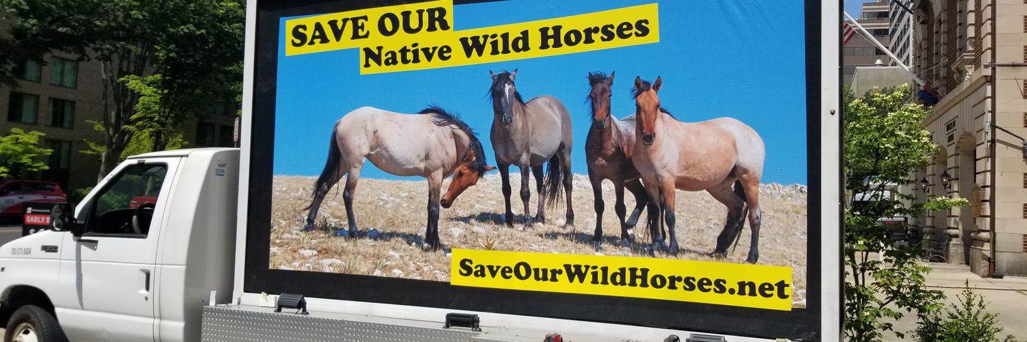 mules62's profile banner image