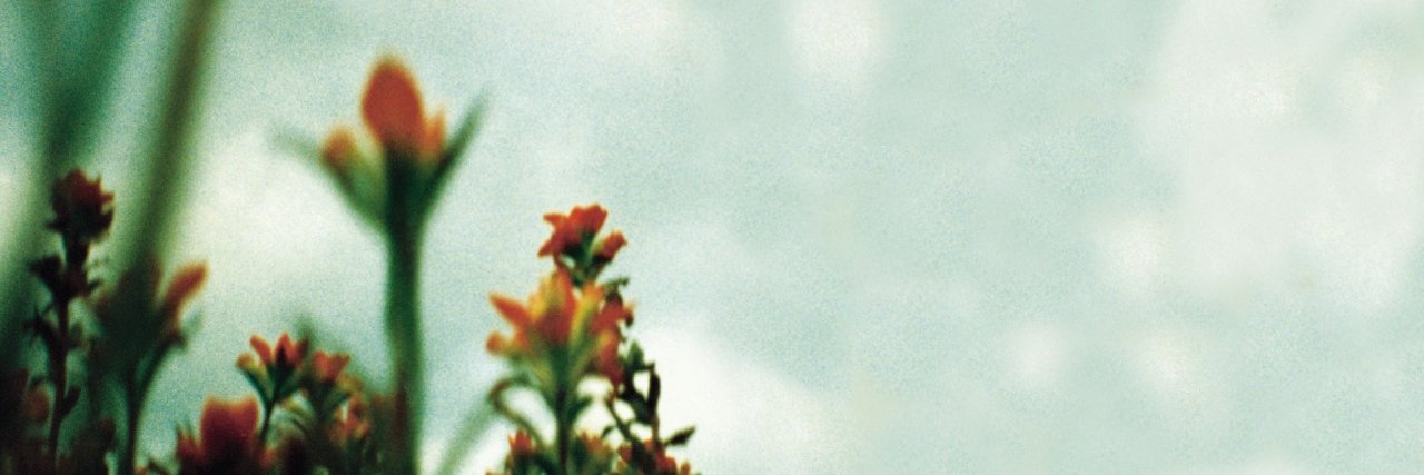 ggpoltergeist's profile banner image