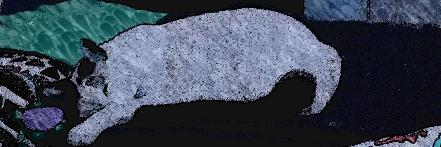 Chiostrings's profile banner image